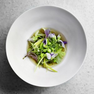 Blenheim green plate